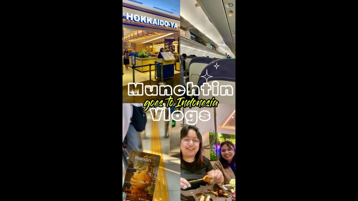 Jakarta Travel and Food Vlog 2024: Ibis Harmoni, Transjakarta , Grand Indonesia, Hokkaido-ya Jakarta Travel and Food Vlog 2024: Ibis Harmoni, Transjakarta , Grand Indonesia, Hokkaido-ya
