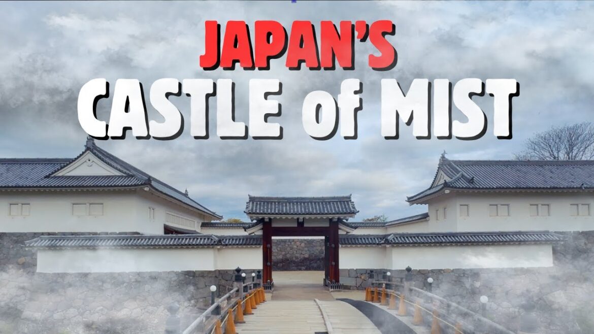 The WILD legend of Mist Castle The WILD legend of Mist Castle