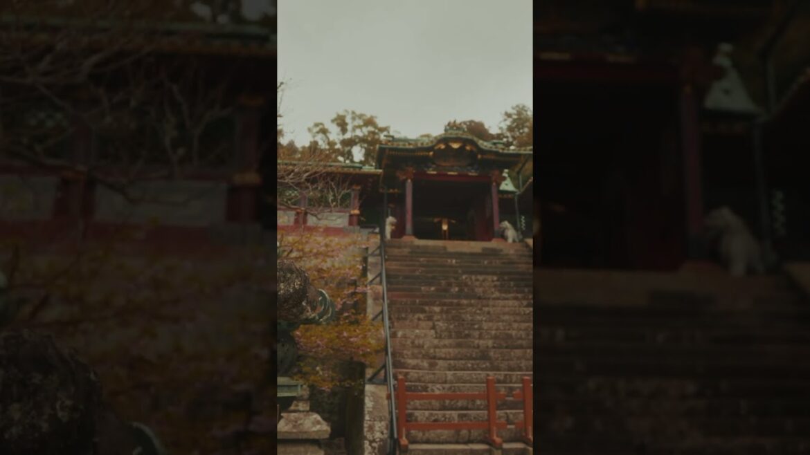 Shizuoka #shogun #shrine #japan