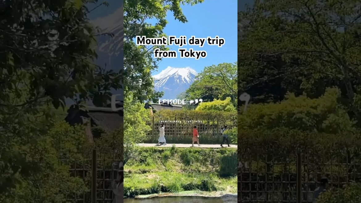 Travel with me to Mount Fuji from Tokyo! 🗻😍 #japantravel