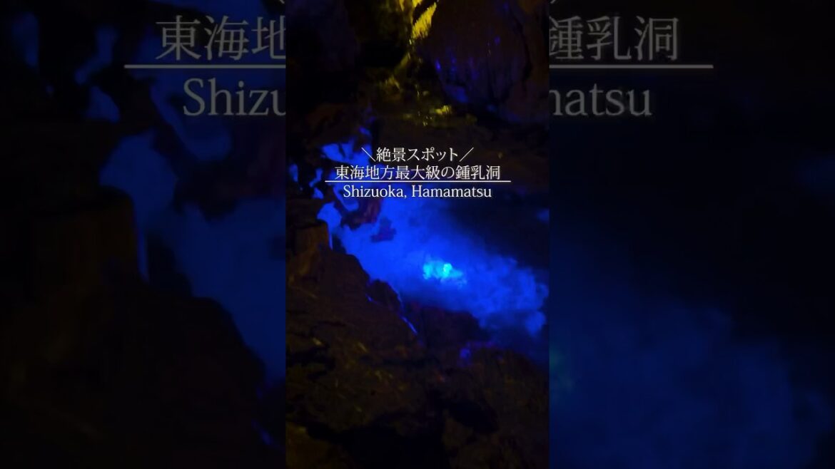【東海地方最大級】年間18℃絶景鍾乳洞 #shorts 【東海地方最大級】年間18℃絶景鍾乳洞 #shorts