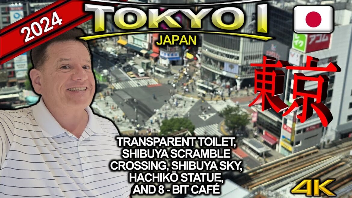 Solo Travel Tokyo: Transparent Public Toilet, Shibuya Scramble, Hachikō’s Grave and Statue 2024 Solo Travel Tokyo: Transparent Public Toilet, Shibuya Scramble, Hachikō's Grave and Statue 2024