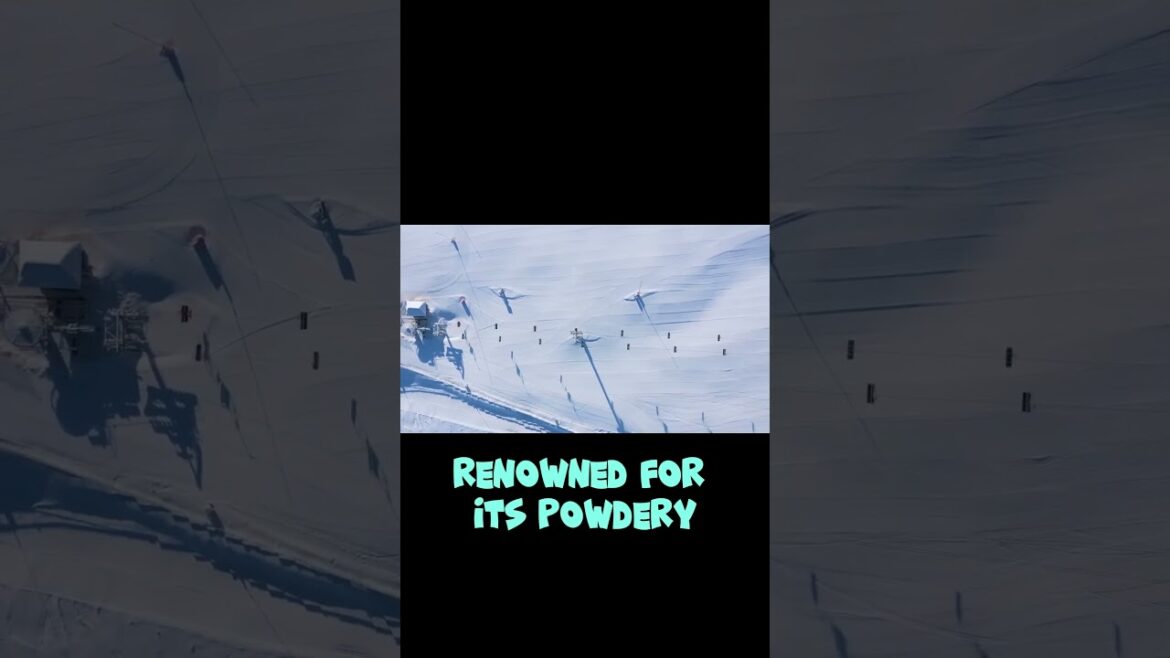 Hokkaido  Embrace Japan's Wild Beauty!