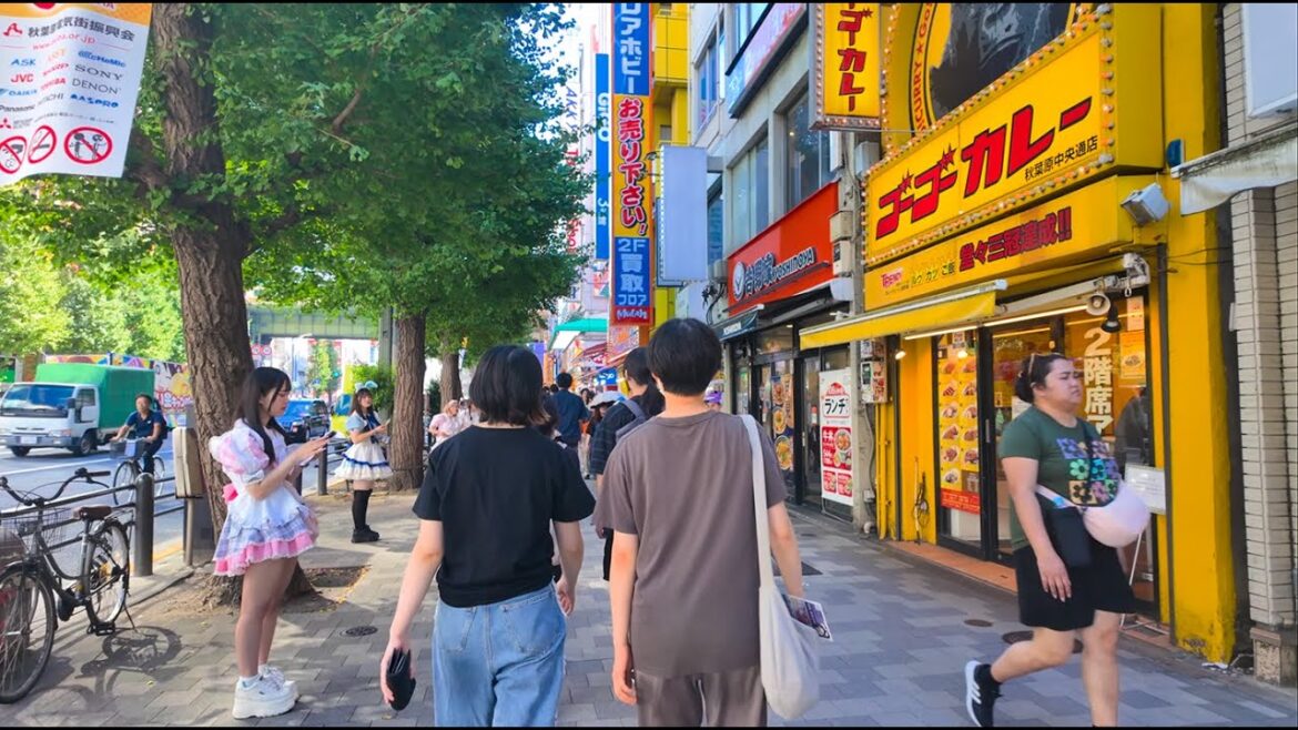 TOKYO Akihabara Walk – Japan Tour 4K HDR ASRM | Relaxing Natural City Ambience TOKYO Akihabara Walk - Japan Tour 4K HDR ASRM | Relaxing Natural City Ambience