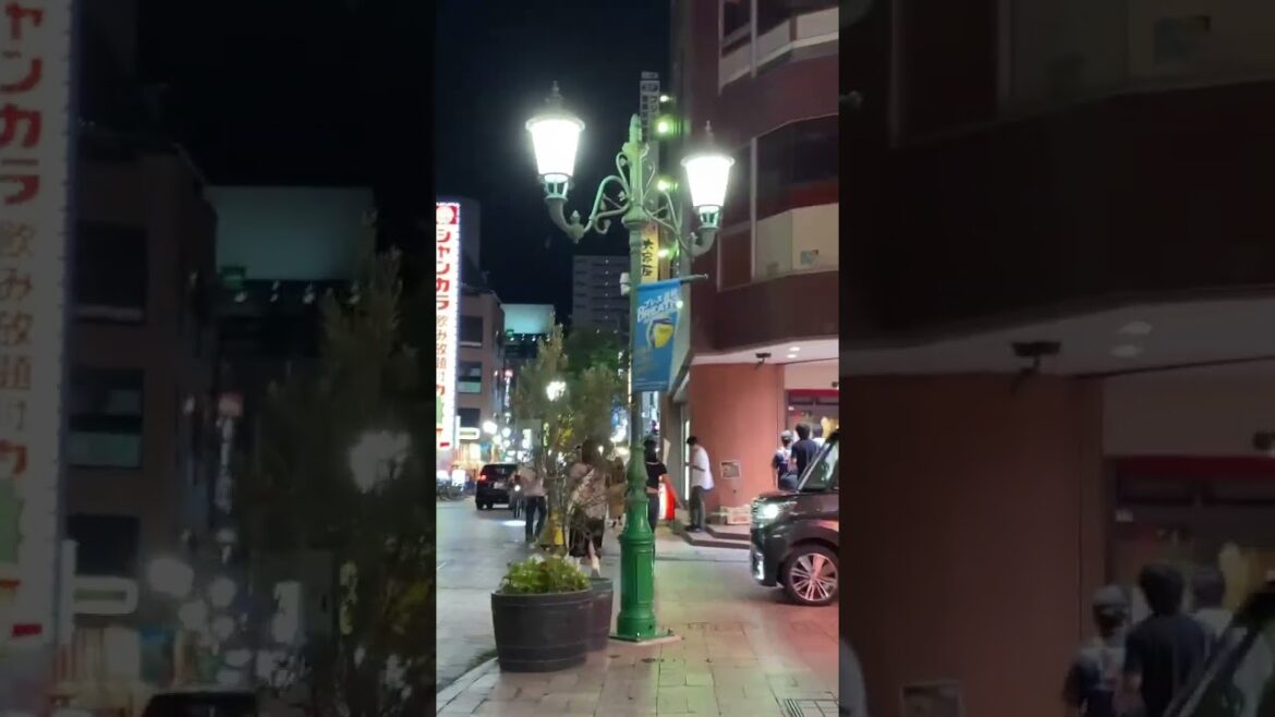 Centro de Hamamatsu em um sábado a noite.
