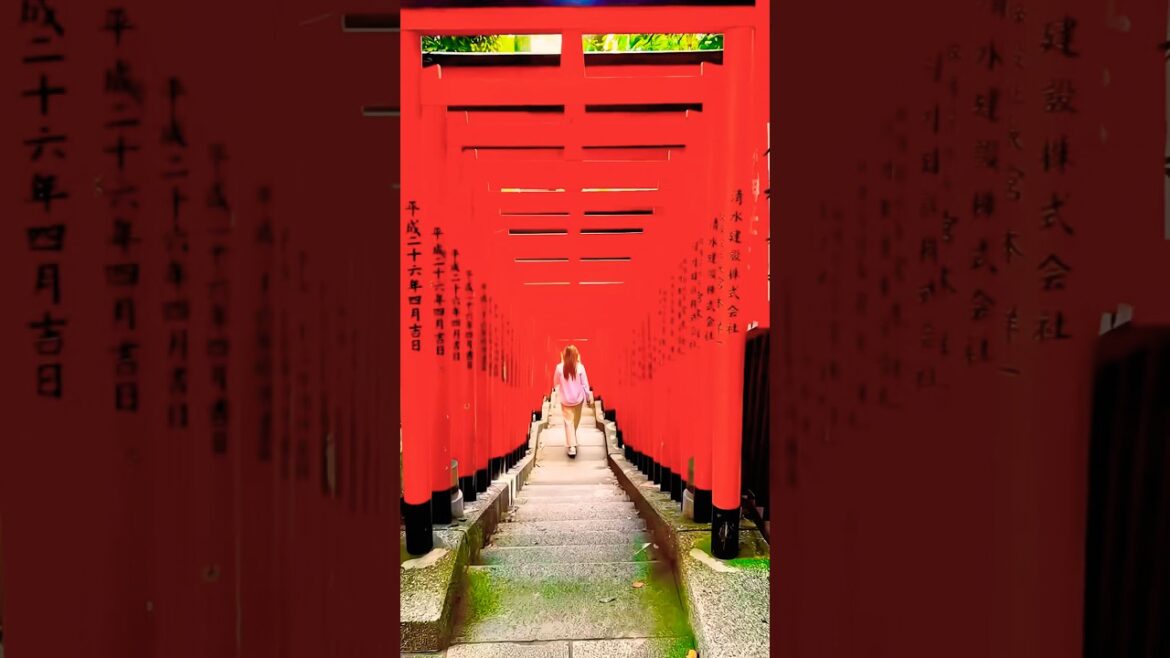 Shibuya🇯🇵❤️ Japan Tour #travel #foryou #japan #tokyo