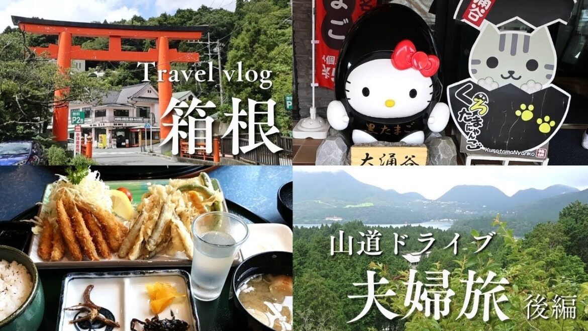 【Travel vlog】箱根夫婦旅 | 後編 | 大涌谷 | 芦ノ湖 | 道の駅 箱根峠 | ワカサギランチ