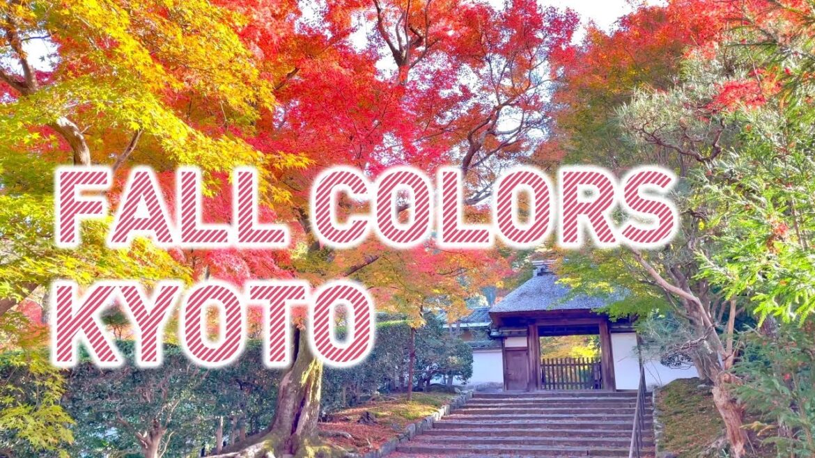 Fall foliage in Japan, 10 places to view Fall colors in Kyoto city, temples & Shrines,