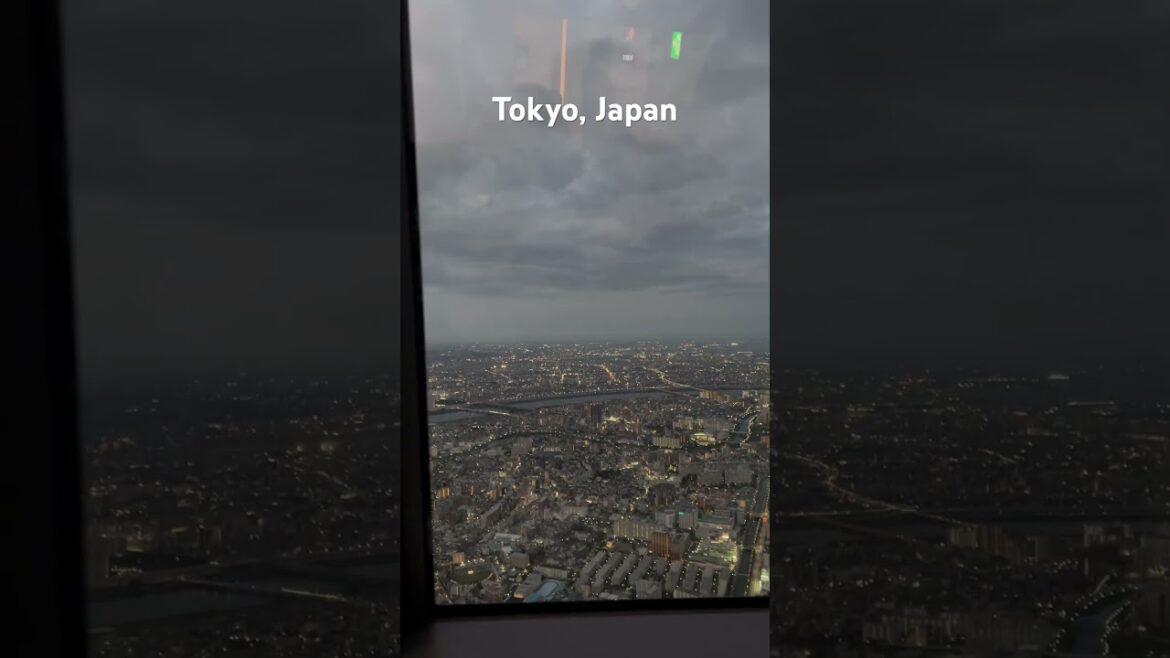 Tokyo, Japan – August 10, 2024 Tokyo, Japan - August 10, 2024