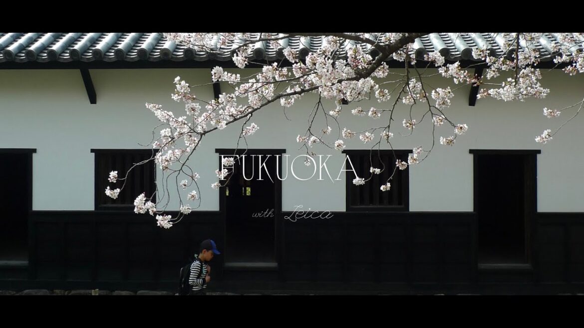 Leica D lux4 photography  Fukuoka, Japan Leica D lux4 photography  Fukuoka, Japan