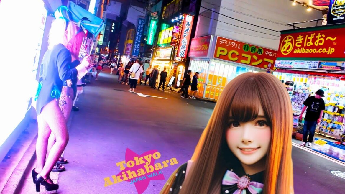 Tokyo Akihabara🐶Akihabara Night♪💖4K non-stop 1 hour Tokyo Akihabara🐶Akihabara Night♪💖4K non-stop 1 hour