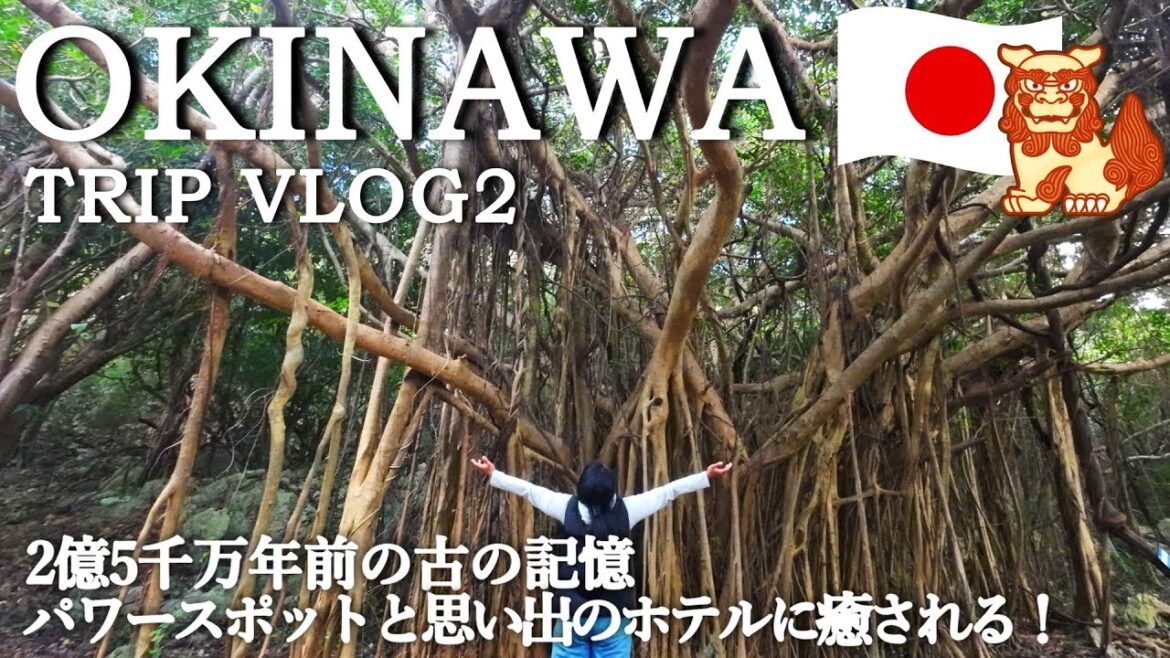 [ Okinawa Trip 中編 ] 2億5千万年の歳月が創りあげた、やんばるの絶景～ 沖縄屈指のパワースポットと思い出のホテルに癒される！ ～