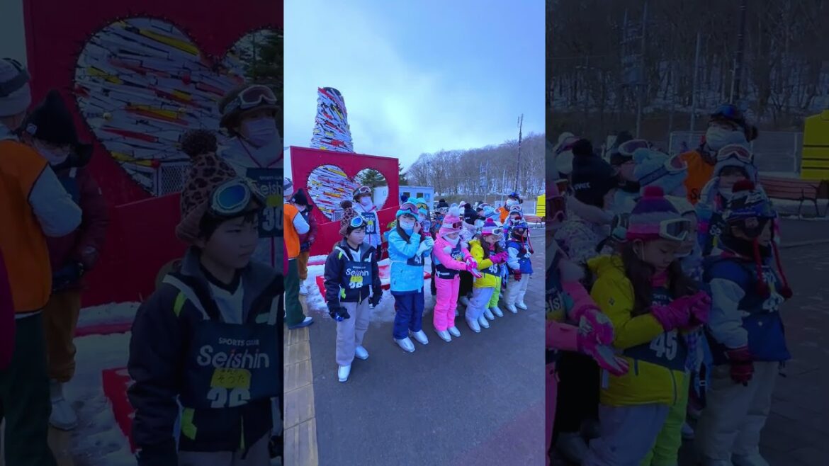 Mt. Fuji, Hakone day trip, Hakone pirate ship, Hakone ropeway, and Gotemba premium outlets. Mt. Fuji, Hakone day trip, Hakone pirate ship, Hakone ropeway, and Gotemba premium outlets.