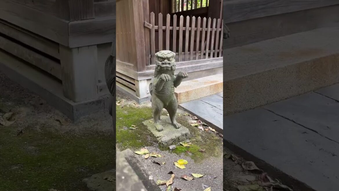 El santuario con las mejores vistas de Nagasaki: Santuario Suwa 🎌