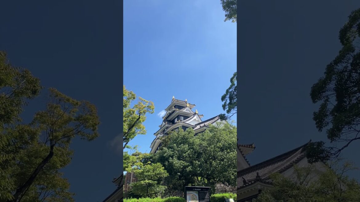 【風景】岡山城🐦‍⬛🏯Okayama Castle
