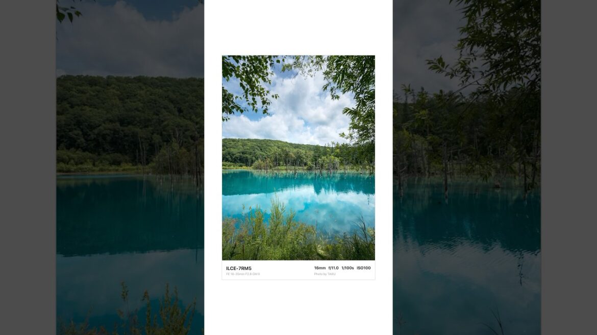 青い池 美瑛 / SONY A7RV #sonya7rv #sel1635gm2