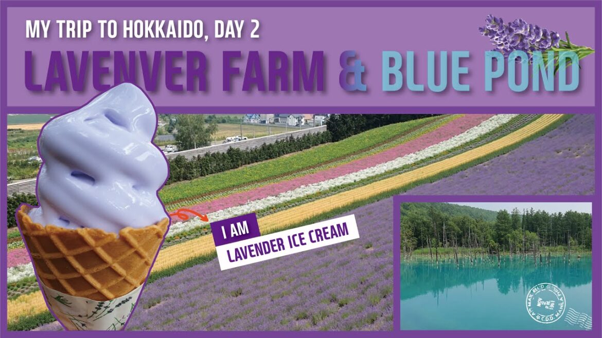 🇯🇵 [홋카이도 라벤더팜 & 청의 호수] 북해도 여름 여행 2일차  [LAVENDER FARM & BLUE POND] My Trip to Hokkaido, Japan, Day 2