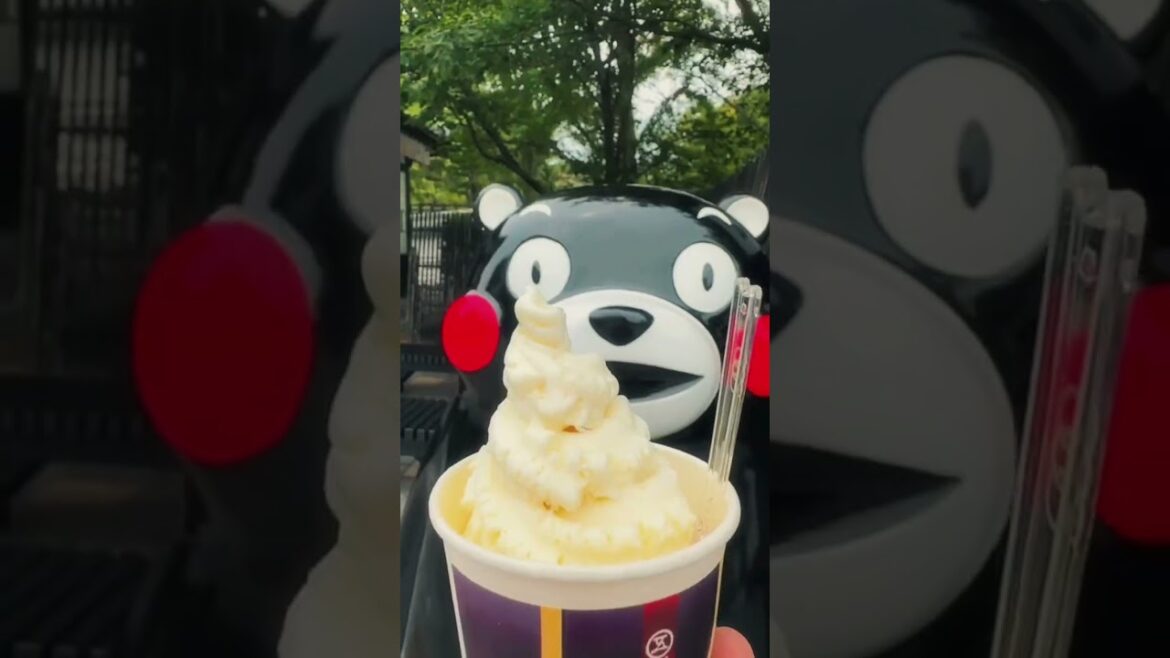 𝗢𝗭‘𝘀 𝗣𝗶𝗰𝗸🛫 구마모토 노면전차