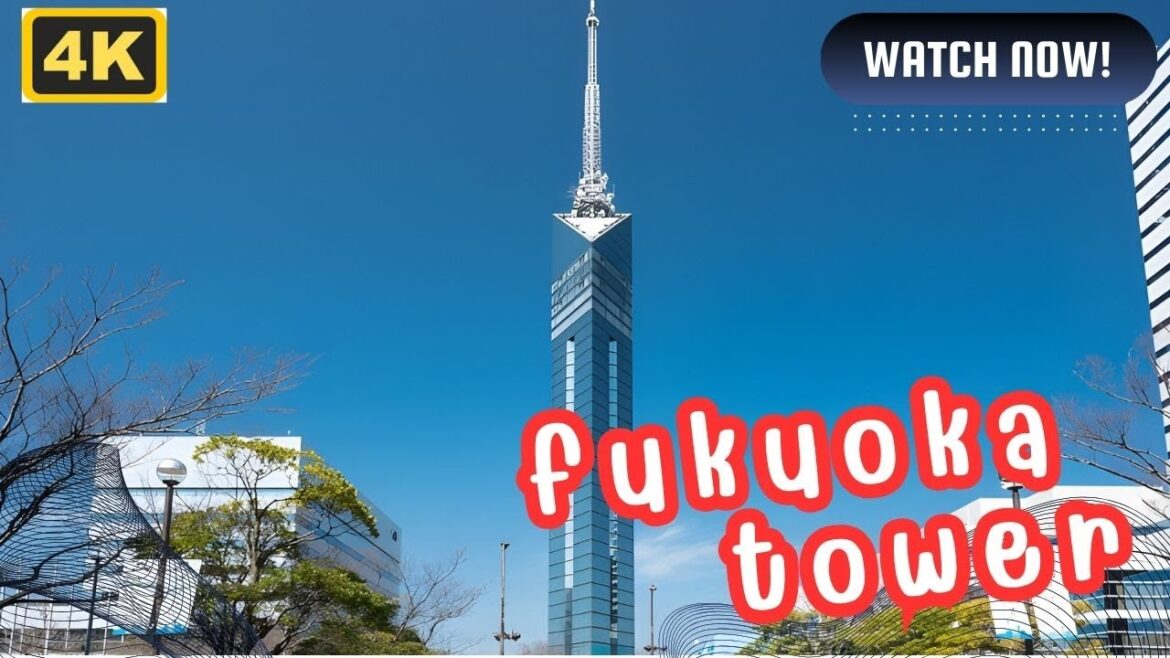 Fukuoka Tower: A Must-See Skyline View! #FukuokaTower Fukuoka Tower: A Must-See Skyline View! #FukuokaTower
