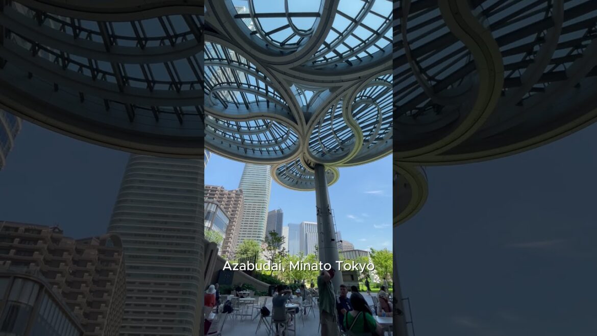 #azabudaiminato #minato #tokyo #japan #tourism #travel