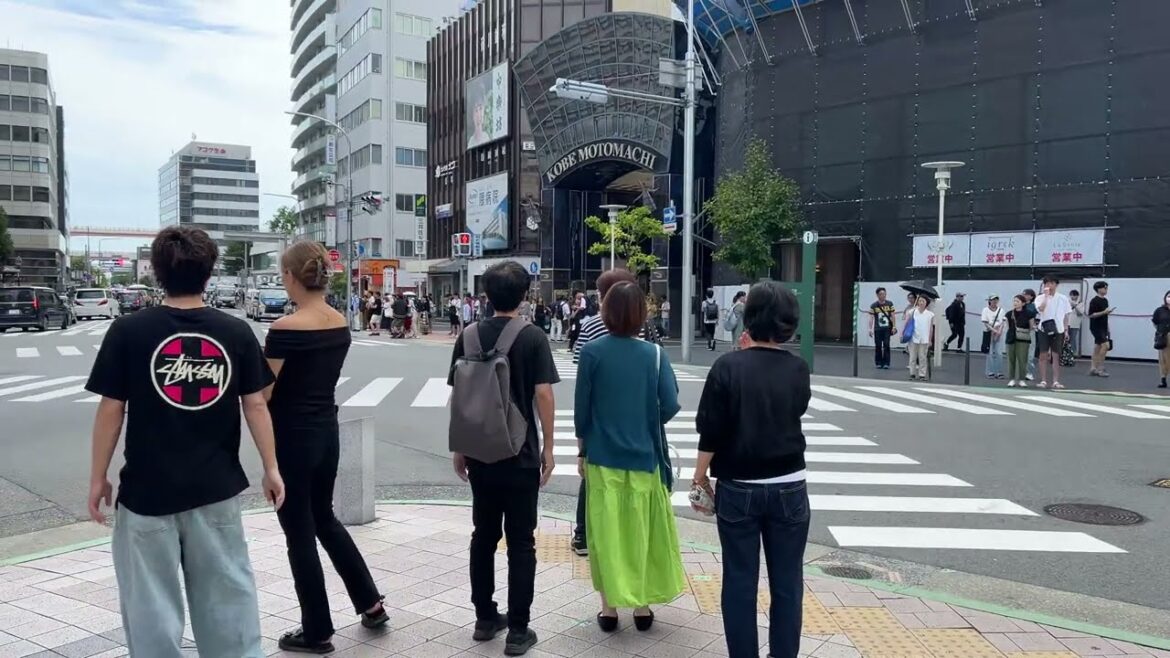 Walking Around In Japan