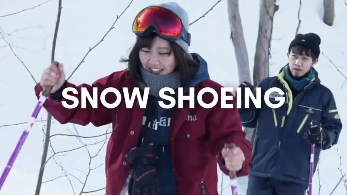 Otaru Travel Plan Suggestion