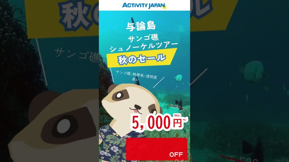 与論島 シュノーケリングの予約はアクティビティジャパン  #与論島旅行 #ミーアキャット