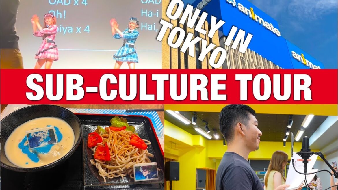 Only in Japan Experience – Fun Sub-Culture Tour in Tokyo Only in Japan Experience - Fun Sub-Culture Tour in Tokyo