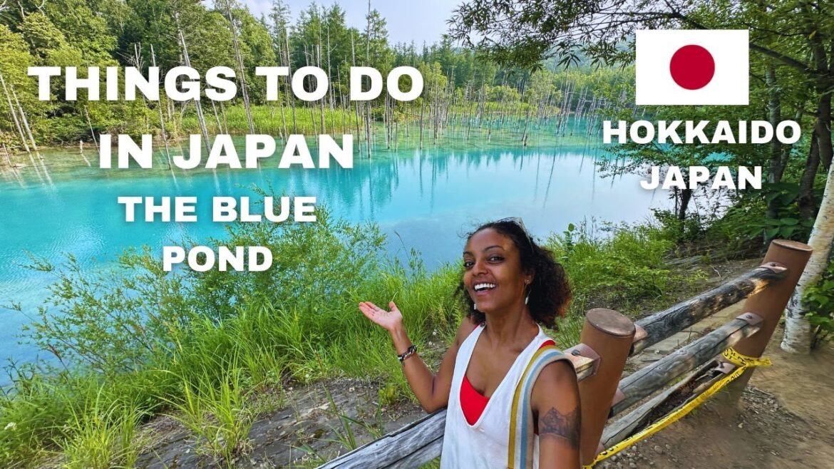 Things to Do in Japan | Shirogane Blue Pond Hokkaido