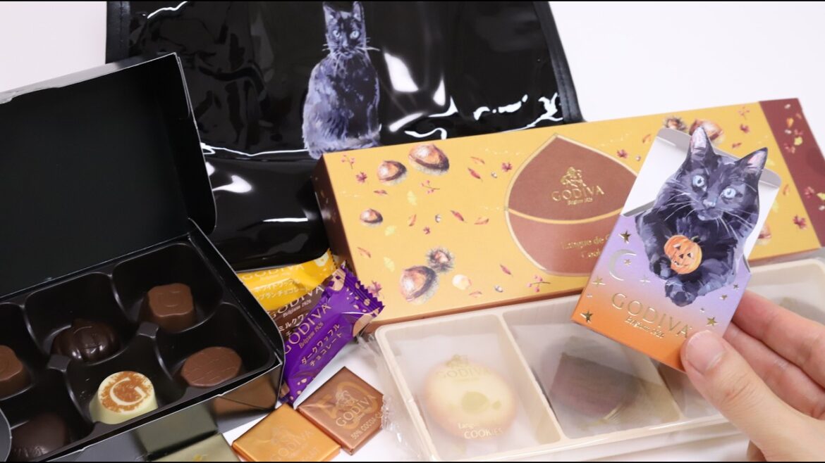 Godiva Chocolate Halloween Party Set Black Cat Bag is so Cute! Godiva Chocolate Halloween Party Set Black Cat Bag is so Cute!