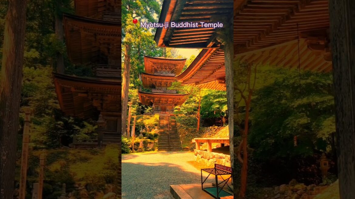 Discover Japan's Most Breathtaking Destinations 😍 #travel