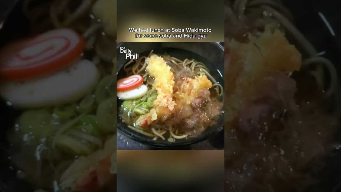 Here’s our daytrip from Nagoya to Shirakawago last winter