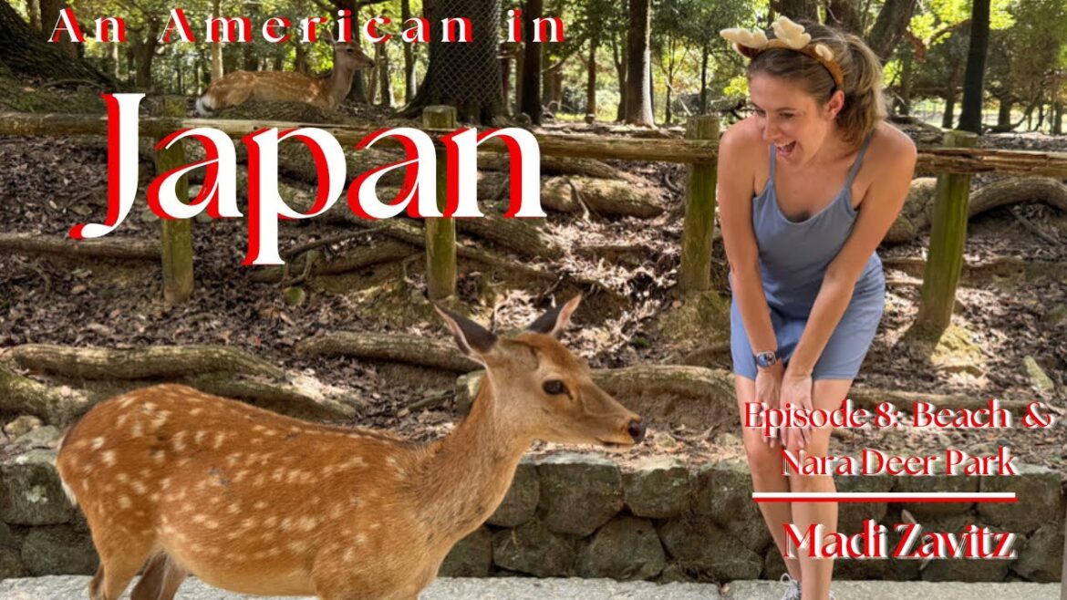 An American in Japan – Episode 8: Beach Day & Nara Deer Park! An American in Japan - Episode 8: Beach Day & Nara Deer Park!
