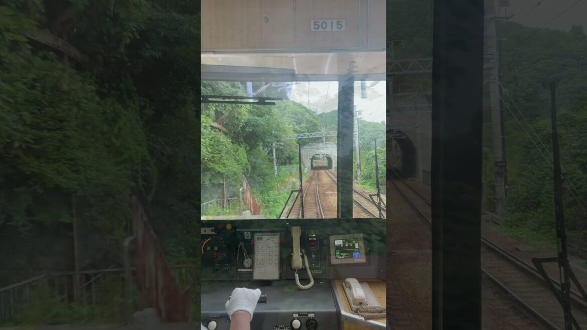 【秘境駅 神鉄 菊水山駅（スロー動画有）】廃駅神戸電鉄 菊水山駅 #秘境駅 #秘境 #廃駅 #trip #shorts #train #unexplored #region