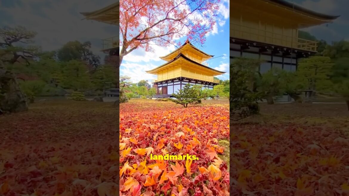 Kinkaku-ji: The most beautiful temple in Kyoto (2024) #travel #japan #japantravel #kyoto