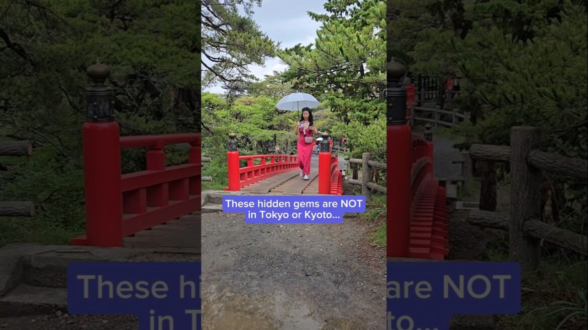 Bored of Tokyo? Try these places #japantravel #hiddengems #travelitinerary