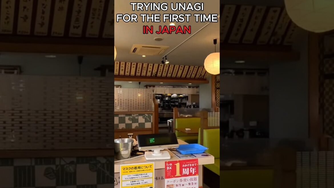 First Time Trying Unagi In Japan! | Fuji, Japan