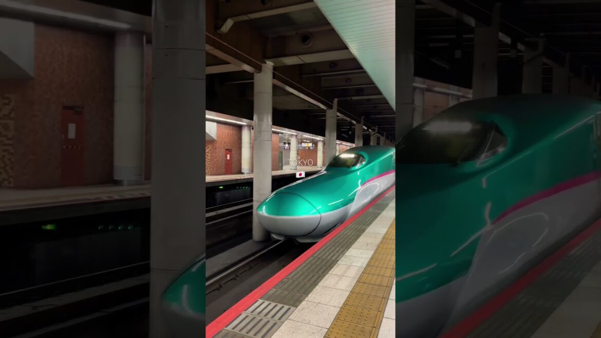 Experience Japan’s Shinkansen, the world’s first bullet train, speeding up to 320 km/h! #shinkansen