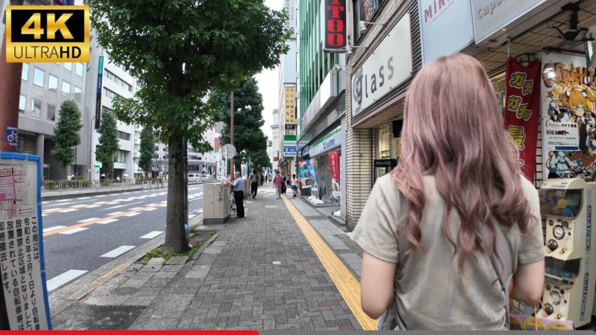 Japan: Osu Kannon Shopping Street in Nagoya | 4K HDR Walking Tour