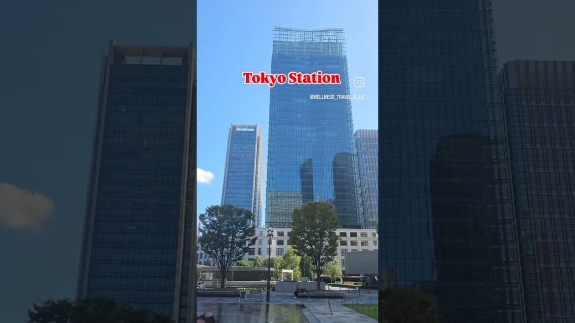 Exploring Tokyo Station  #tokyo #travel #japan  #ytshorts