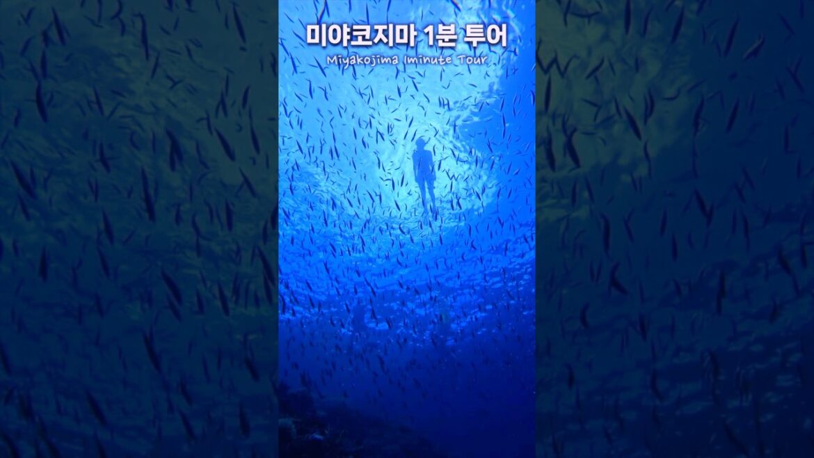 미야코지마 1분 투어 | Miyakojima 1minute Tour 미야코지마 1분 투어 | Miyakojima 1minute Tour