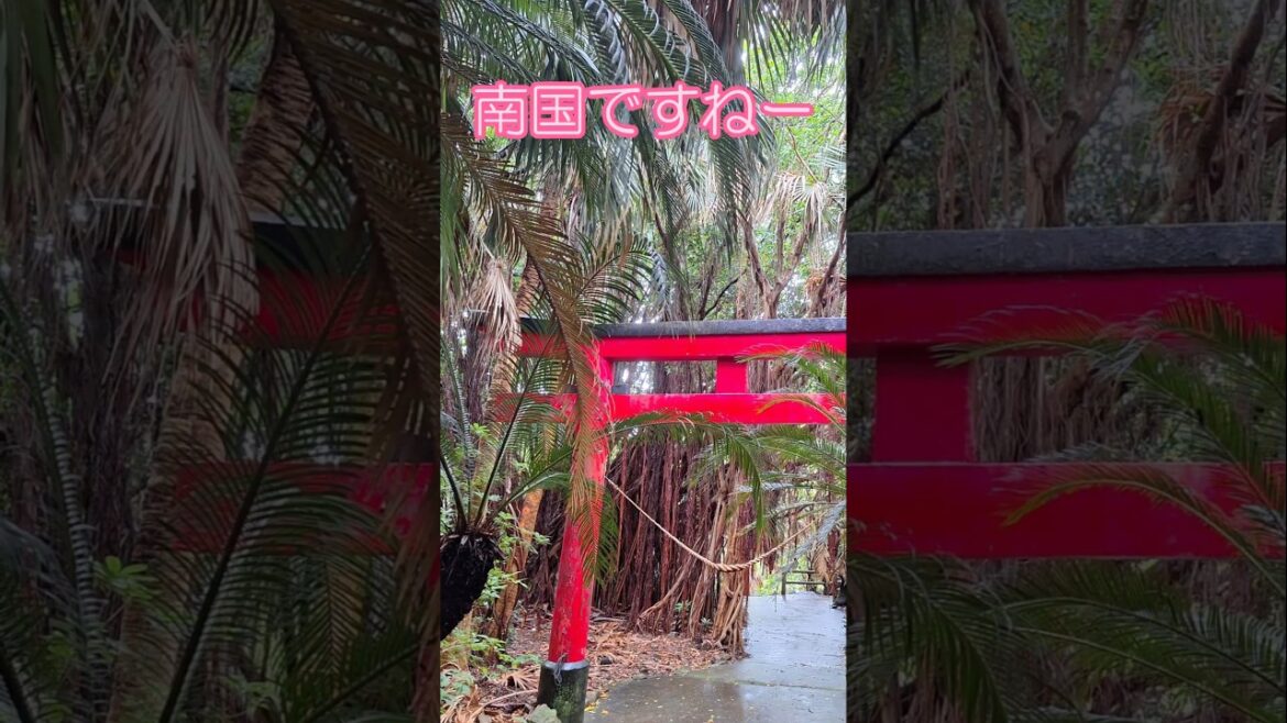 【おんな一人旅】本土最南端佐多岬へ! 御崎神社参拝&都城の老舗居酒屋で名物料理を堪能 #旅行 #鹿児島 #志布志 #佐多岬 #本土最南端 #都城 #ビール 【おんな一人旅】本土最南端佐多岬へ! 御崎神社参拝&都城の老舗居酒屋で名物料理を堪能 #旅行 #鹿児島 #志布志 #佐多岬 #本土最南端 #都城 #ビール