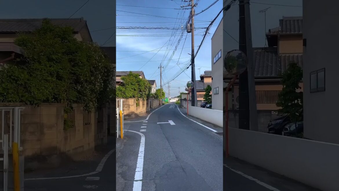 The average day in rural Japan 🇯🇵 Japan Travel | Explore Japan | Travelling  #japantravel #travel The average day in rural Japan 🇯🇵 Japan Travel | Explore Japan | Travelling  #japantravel #travel
