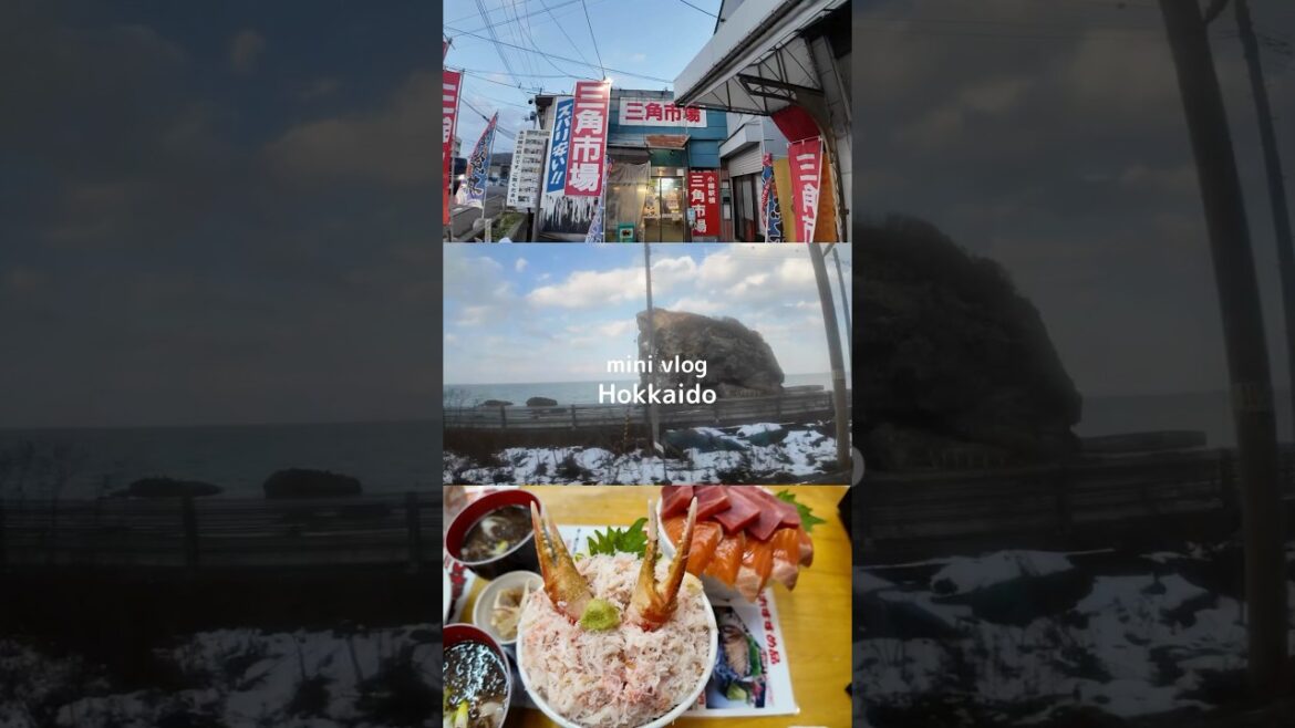 1分で巡る冬の北海道　#shorts