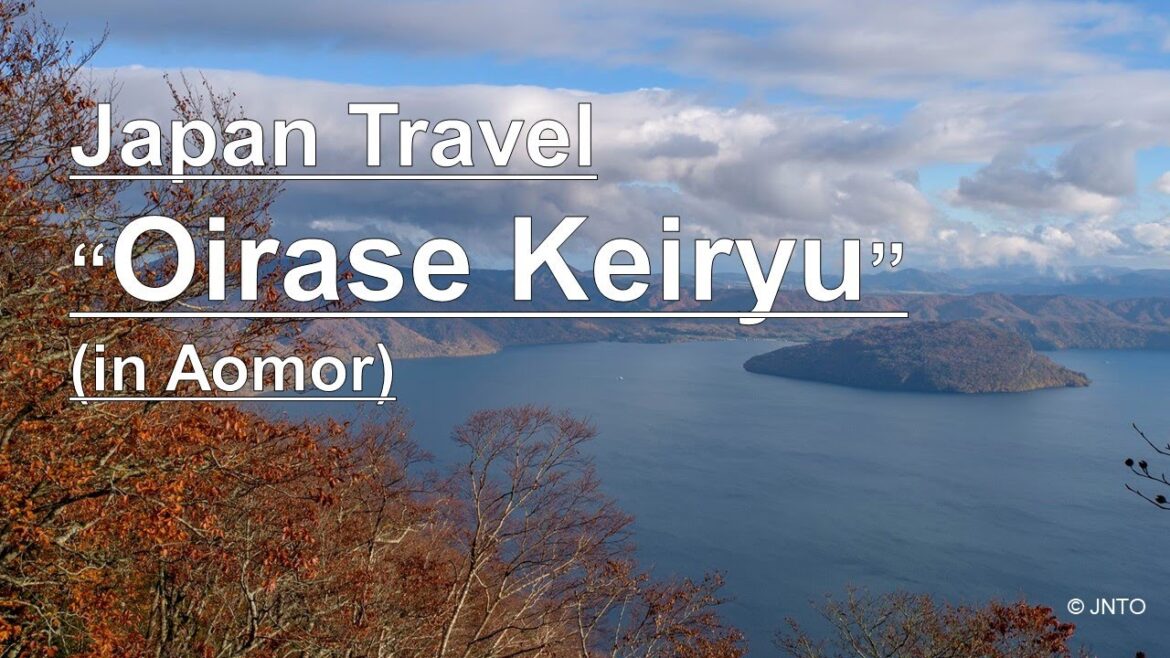 Japan Travel “Oirase Keiryu” (in Aomori) Video Library