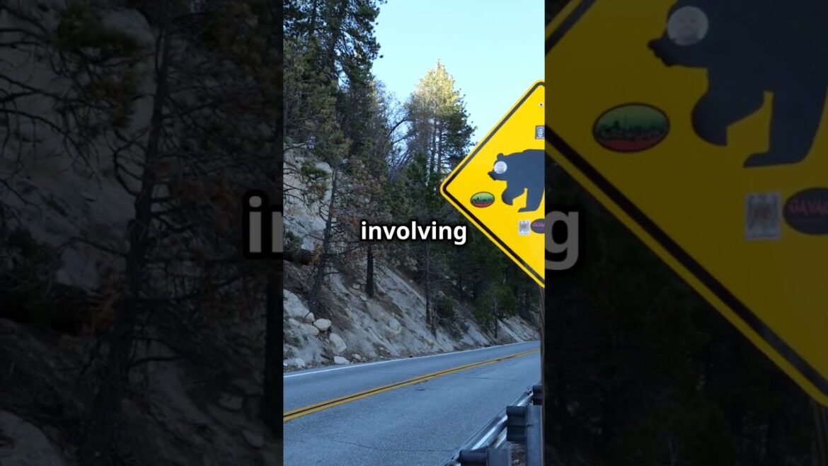 #홋카이도여행#hokkaido   Driving a car in Hokkaido, Japan