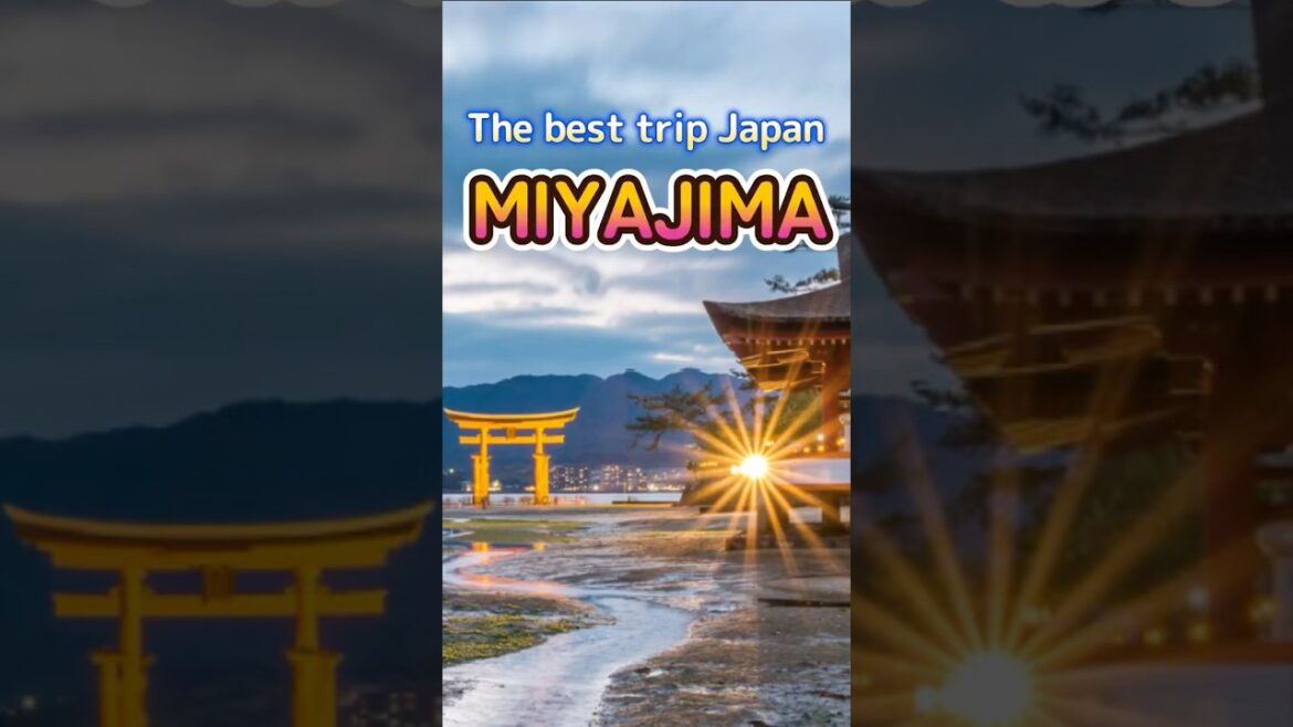 【The Best Trip Japan#1】Miyajima,Hirosima #shorts #Japan #Hirosima #miyajima