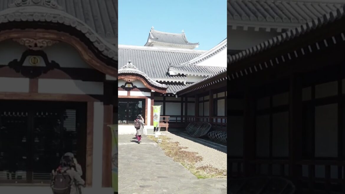 Exploring the castle-museum #traveljapan #castle #chiba