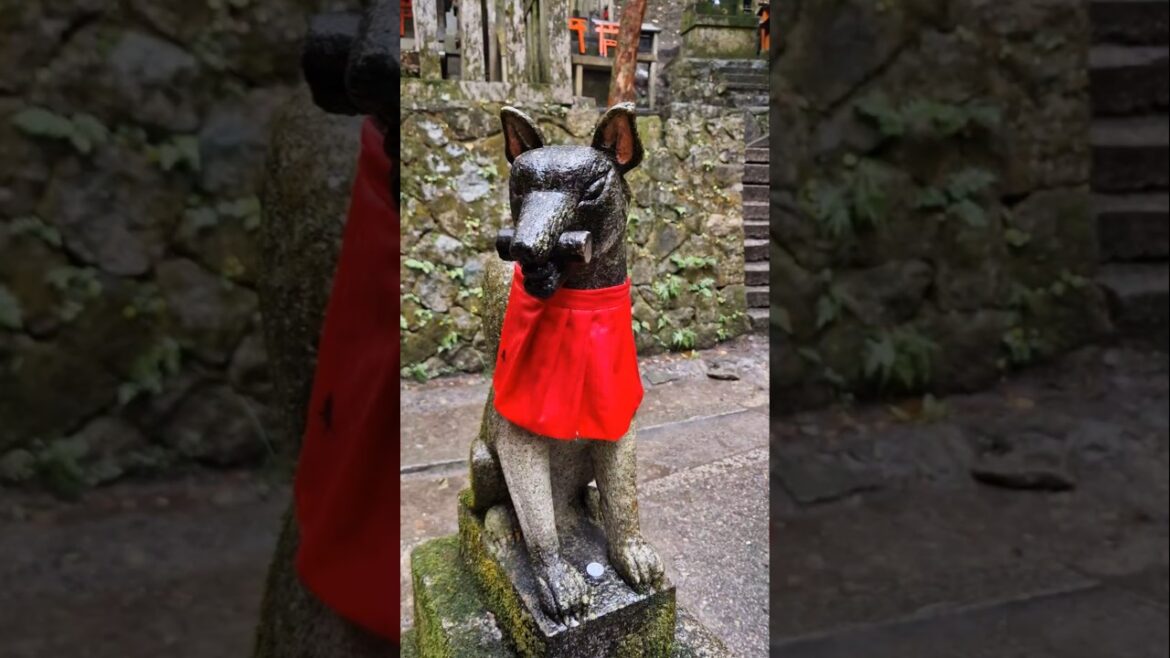 #Japanese moments – Fusima Inari #Japanese moments - Fusima Inari