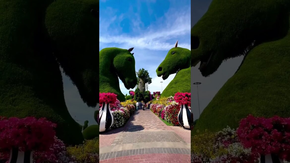 📍Unbelievably surreal places on earth | PT 17 😱😱 #explore #travel #nature 📍Unbelievably surreal places on earth | PT 17 😱😱 #explore #travel #nature